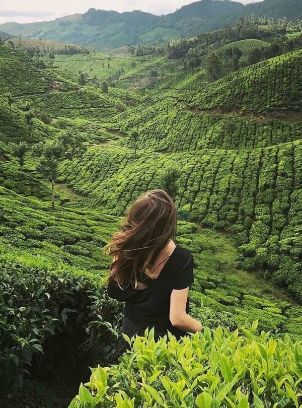 94f6c6e8adc1dff1d5a6148c2c3a97f5