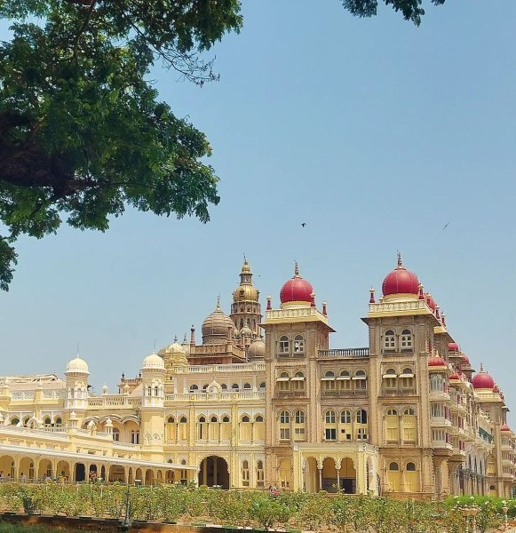 resize-175216828917108980e9d1023c7affbe51b16067a6416dc878